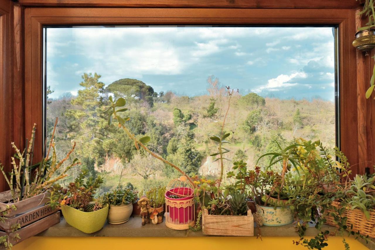 La Casetta Della Nonna Bagnoregio Buitenkant foto