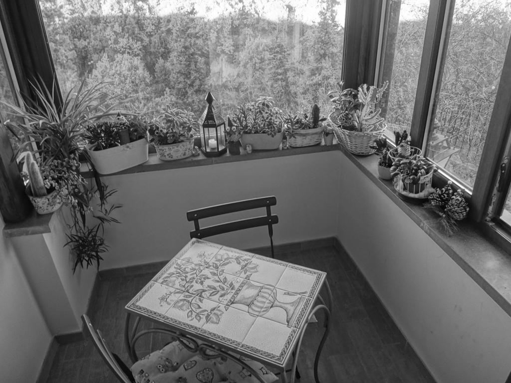 La Casetta Della Nonna Bagnoregio Kamer foto
