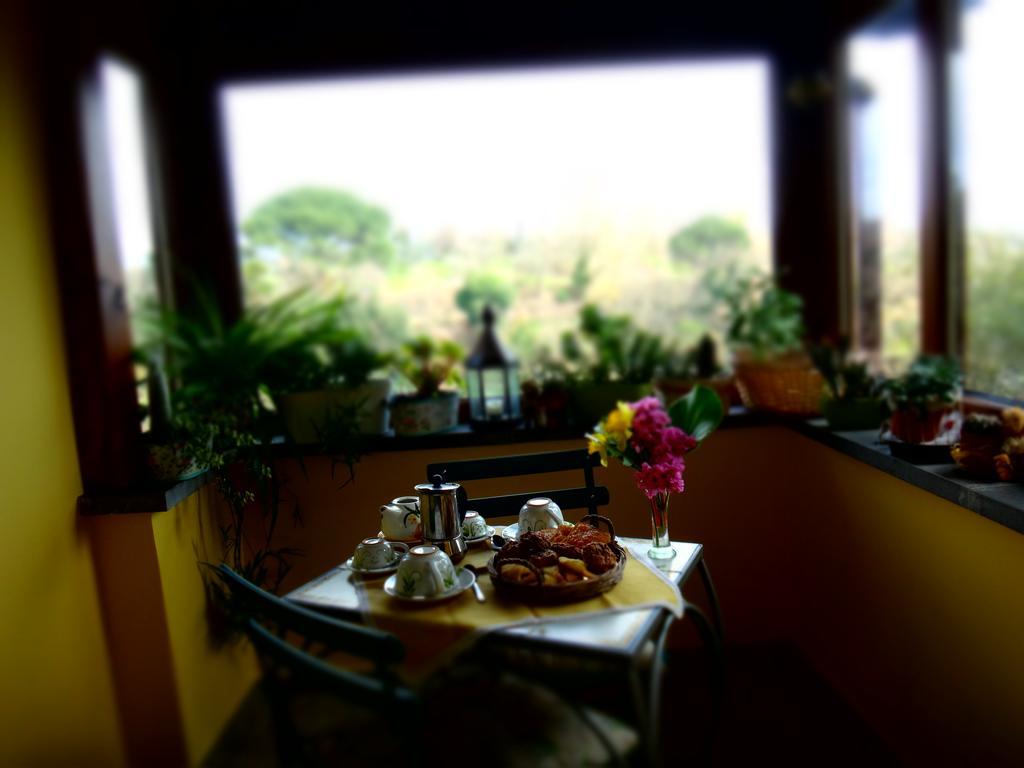 La Casetta Della Nonna Bagnoregio Buitenkant foto